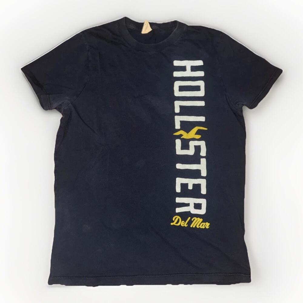 Vintage Hollister Del Mar T-Shirt Blue Large 20x26